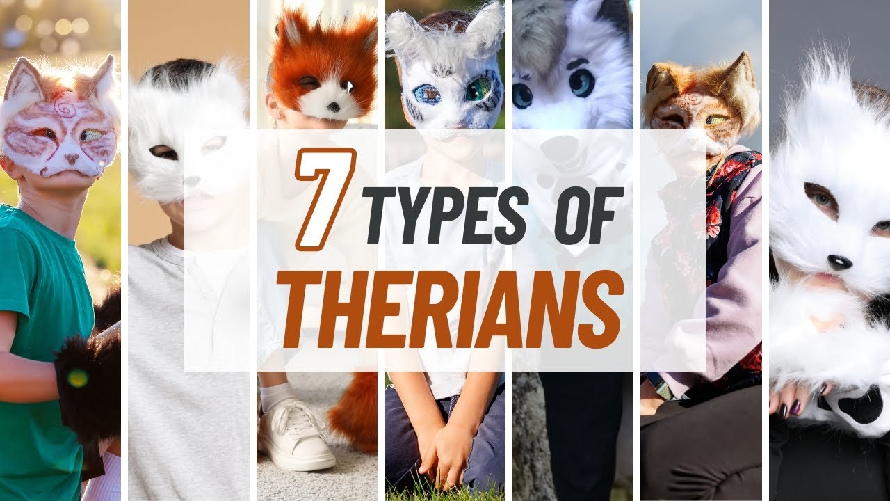 Labour MP who said Remain voters better educated 'has facts on side'